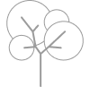 Árboles protegidos
